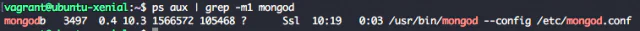 Check MongoDB 4.2 process with ps