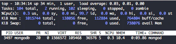 Check MongoDB 4.2 resource usage with top