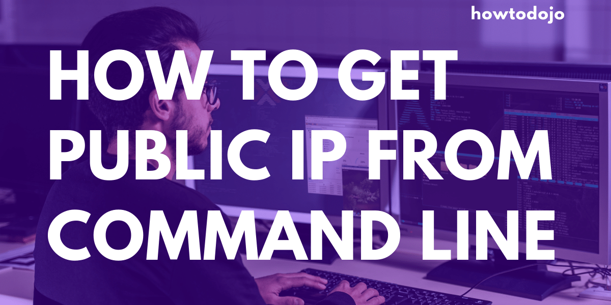 get public ip api call